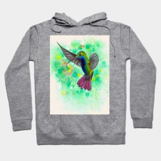 Hummingbird - acrylic painting Hoodie